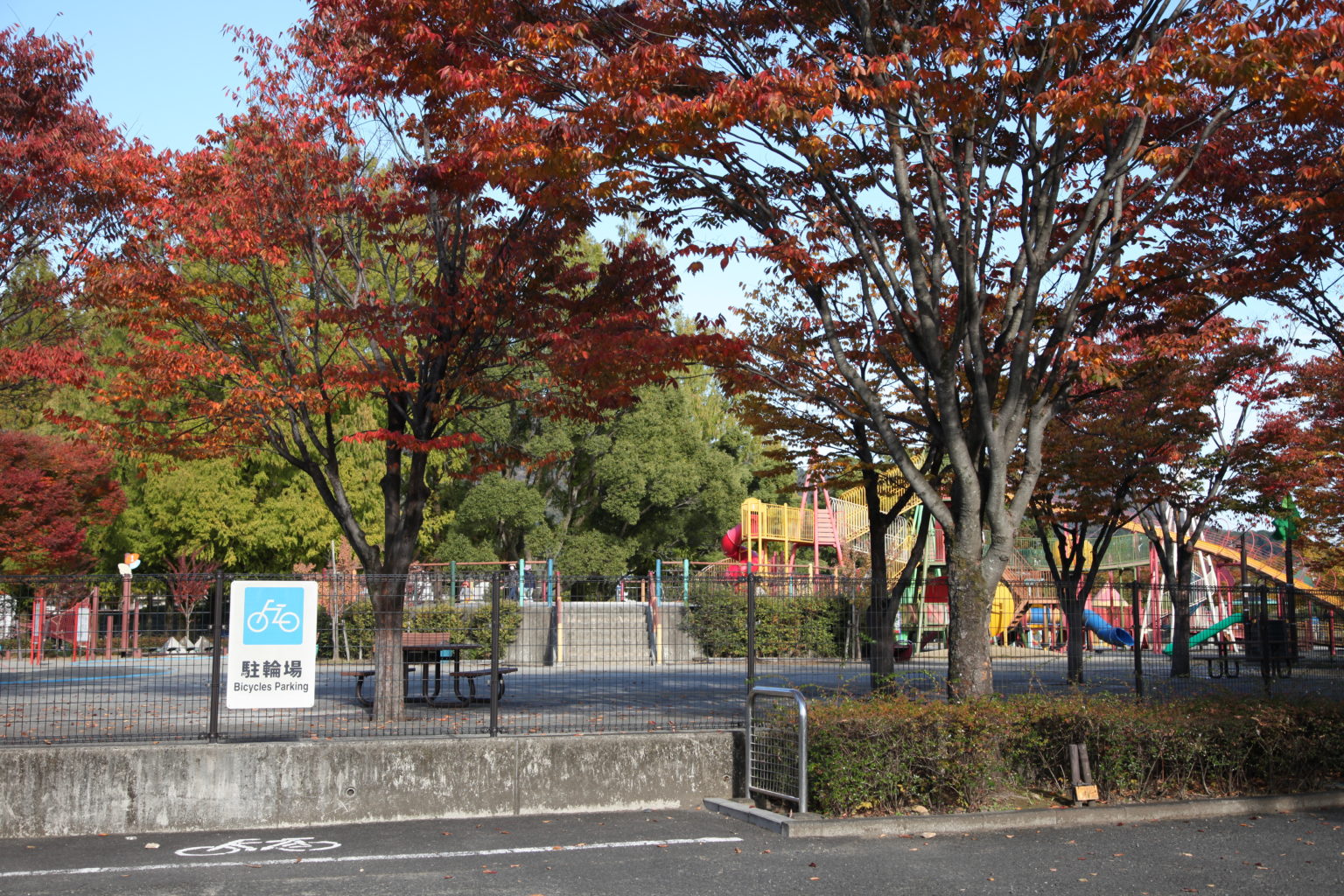 岐阜 駅 自転車 レンタル